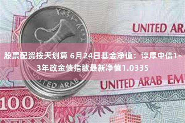 股票配资按天划算 6月24日基金净值：淳厚中债1-3年政金债指数最新净值1.0335