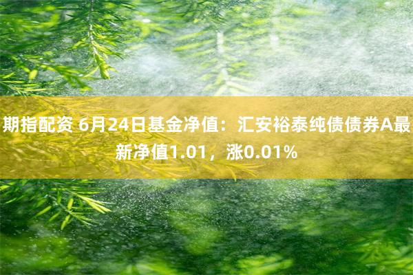 期指配资 6月24日基金净值：汇安裕泰纯债债券A最新净值1.01，涨0.01%