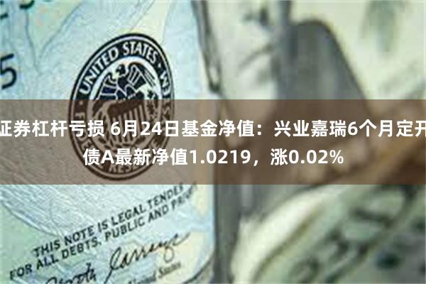 证券杠杆亏损 6月24日基金净值：兴业嘉瑞6个月定开债A最新净值1.0219，涨0.02%