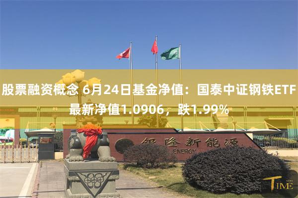 股票融资概念 6月24日基金净值：国泰中证钢铁ETF最新净值1.0906，跌1.99%