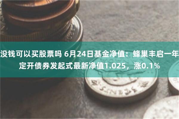 没钱可以买股票吗 6月24日基金净值：蜂巢丰启一年定开债券发起式最新净值1.025，涨0.1%