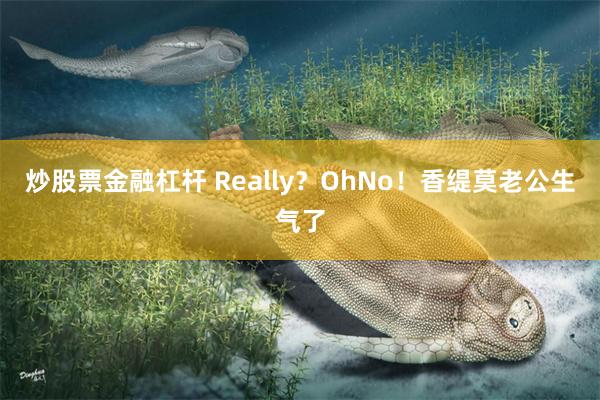 炒股票金融杠杆 Really？OhNo！香缇莫老公生气了