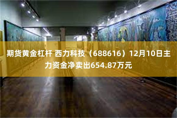 期货黄金杠杆 西力科技（688616）12月10日主力资金净卖出654.87万元