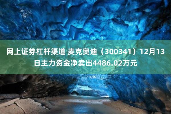 网上证劵杠杆渠道 麦克奥迪（300341）12月13日主力资金净卖出4486.02万元