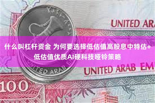 什么叫杠杆资金 为何要选择低估值高股息中特估+低估值优质AI硬科技哑铃策略