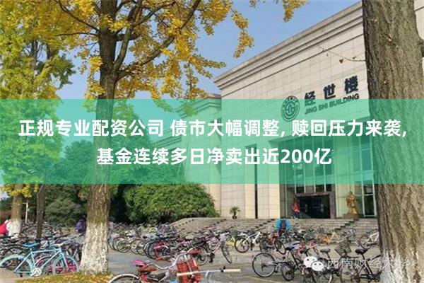 正规专业配资公司 债市大幅调整, 赎回压力来袭, 基金连续多日净卖出近200亿