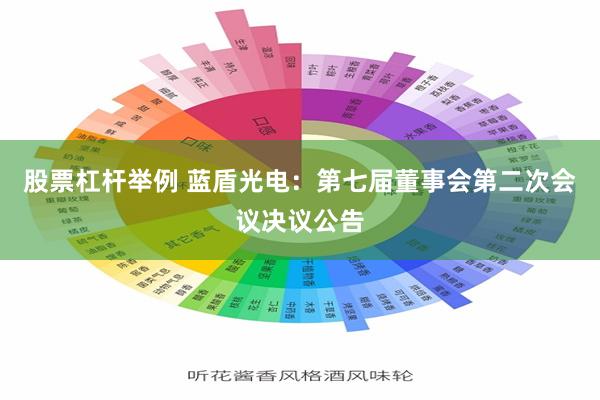 股票杠杆举例 蓝盾光电：第七届董事会第二次会议决议公告