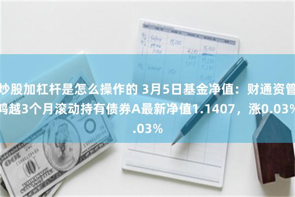 炒股加杠杆是怎么操作的 3月5日基金净值：财通资管鸿越3个月滚动持有债券A最新净值1.1407，涨0.03%