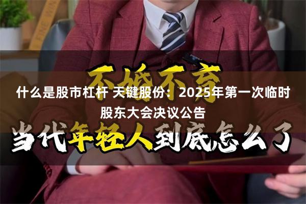 什么是股市杠杆 天键股份：2025年第一次临时股东大会决议公告