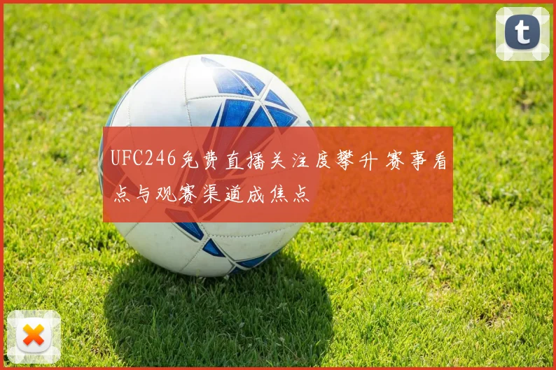 UFC246免费直播关注度攀升 赛事看点与观赛渠道成焦点