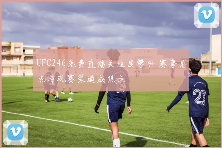UFC246免费直播关注度攀升 赛事看点与观赛渠道成焦点