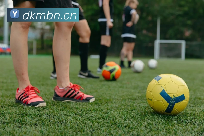 App Interface Preview