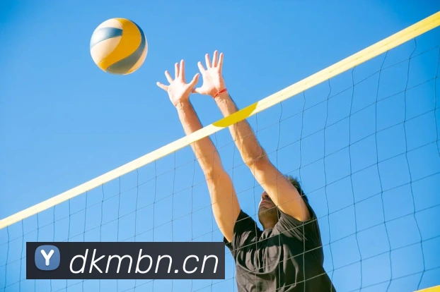 熊猫网官网首页APP 封面图